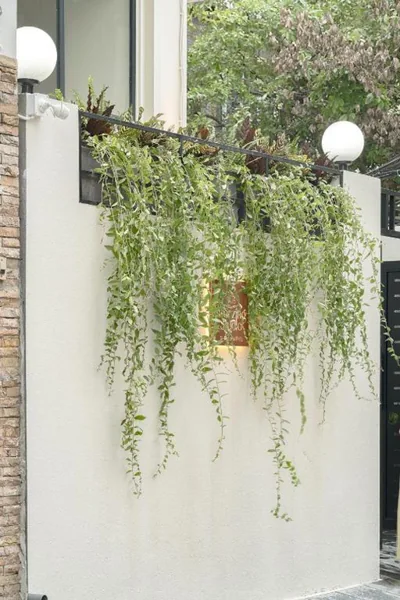 Amazing Studio Boutique Hotel – Fotos 14